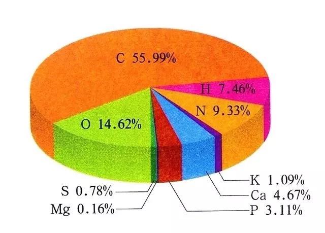 宇宙威龙国语，为何说人类起源于地球而不是外太空？证据有哪些？