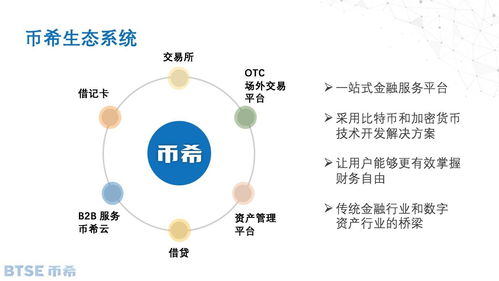 种子币什么网交易