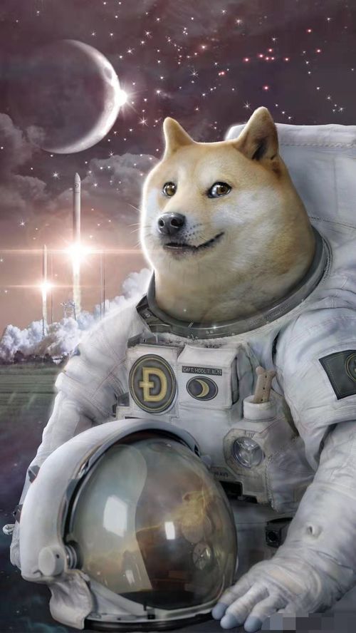 狗狗币最新消息，DOGEcoin