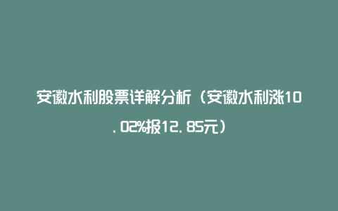 安徽水利股票详解分析（安徽水利涨10.02%报12.85元）