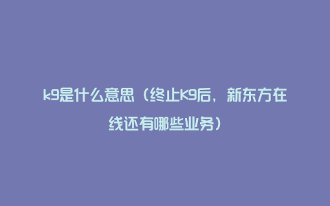 k9是什么意思（终止K9后，新东方在线还有哪些业务）