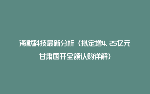 海默科技最新分析（拟定增4.25亿元甘肃国开全额认购详解）