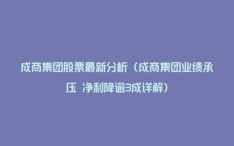 成商集团股票最新分析（成商集团业绩承压 净利降逾3成详解）