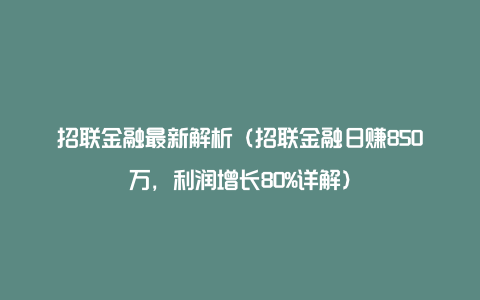 招联金融最新解析（招联金融日赚850万，利润增长80%详解）