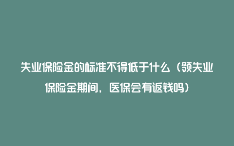 失业保险金的标准不得低于什么（领失业保险金期间，医保会有返钱吗）