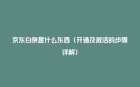 京东白条是什么东西（开通及激活的步骤详解）