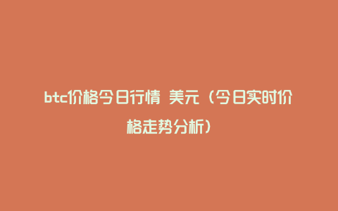 btc价格今日行情 美元（今日实时价格走势分析）