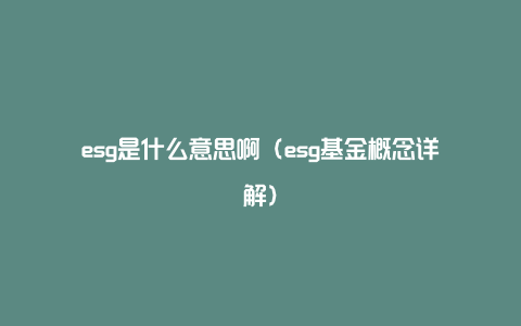 esg是什么意思啊（esg基金概念详解）