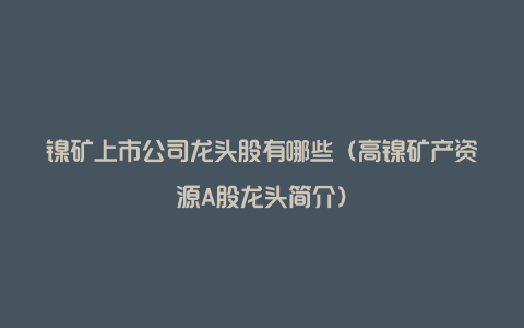 镍矿上市公司龙头股有哪些（高镍矿产资源A股龙头简介）