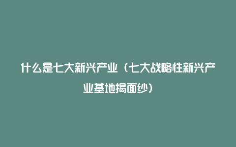 什么是七大新兴产业（七大战略性新兴产业基地揭面纱）