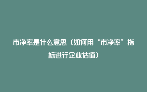 市净率是什么意思（如何用“市净率”指标进行企业估值）