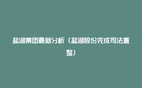 盐湖集团最新分析（盐湖股份完成司法重整）