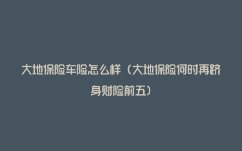 大地保险车险怎么样（大地保险何时再跻身财险前五）