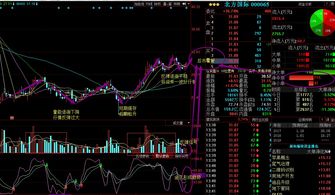 北方国际股票行情历史数据