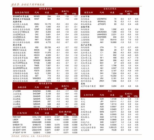 红宝丽股票是做什么的