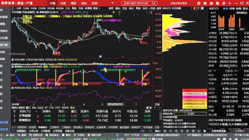 股票基础知识入门书籍带图文