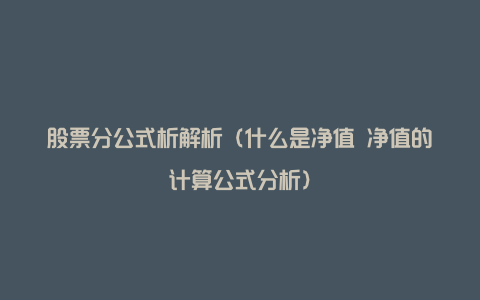 股票分公式析解析（什么是净值 净值的计算公式分析）