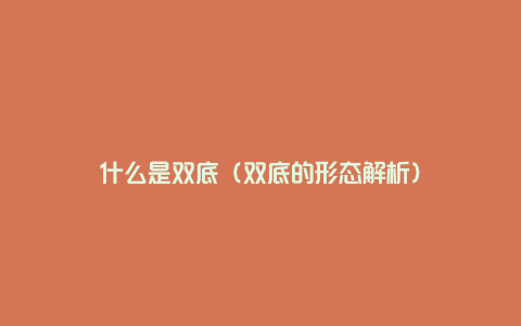 什么是双底（双底的形态解析）