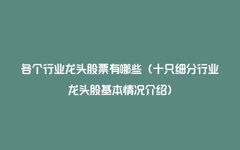 各个行业龙头股票有哪些（十只细分行业龙头股基本情况介绍）