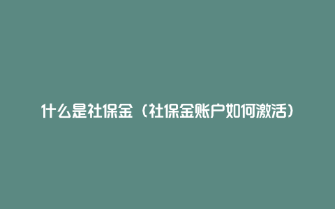 什么是社保金（社保金账户如何激活）