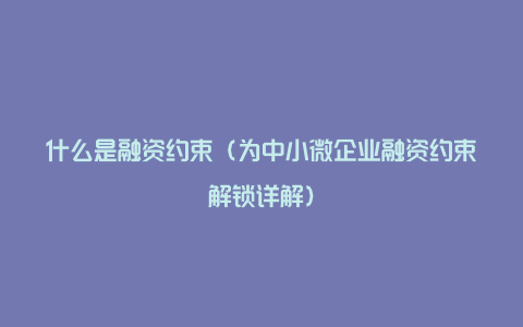 什么是融资约束（为中小微企业融资约束解锁详解）