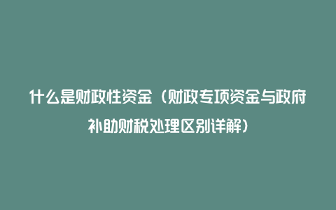 什么是财政性资金（财政专项资金与政府补助财税处理区别详解）