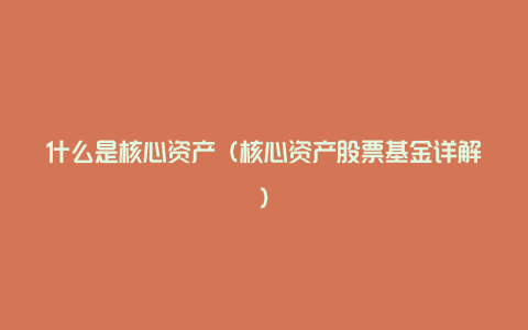 什么是核心资产（核心资产股票基金详解）