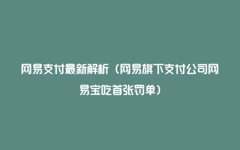 网易支付最新解析（网易旗下支付公司网易宝吃首张罚单）