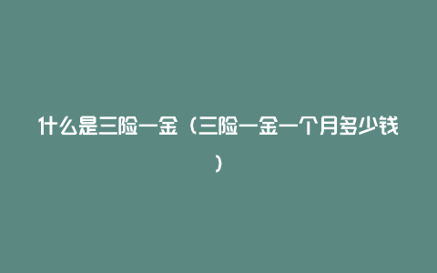 什么是三险一金（三险一金一个月多少钱）