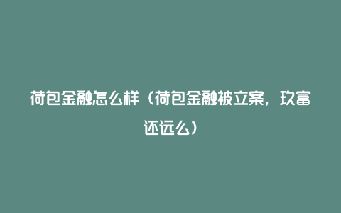 荷包金融怎么样（荷包金融被立案，玖富还远么）