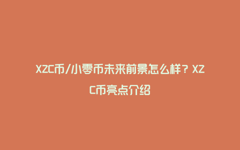 XZC币/小零币未来前景怎么样？XZC币亮点介绍