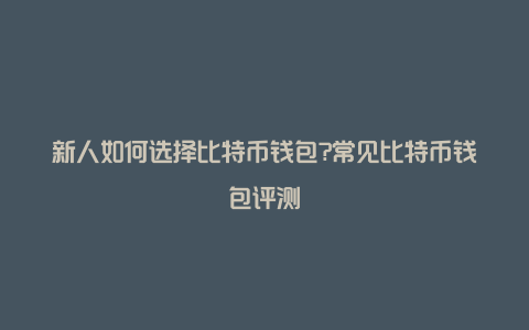 新人如何选择比特币钱包?常见比特币钱包评测