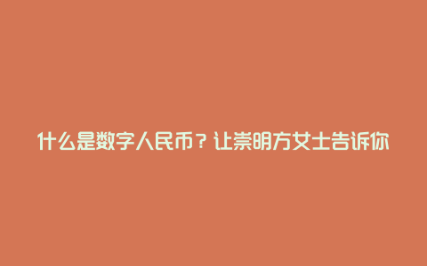 什么是数字人民币？让崇明方女士告诉你