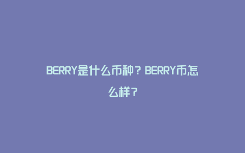 BERRY是什么币种？BERRY币怎么样？