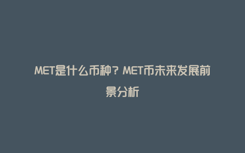 MET是什么币种？MET币未来发展前景分析