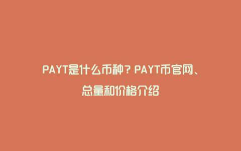 PAYT是什么币种？PAYT币官网、总量和价格介绍