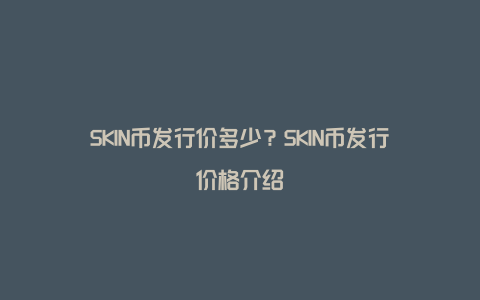 SKIN币发行价多少？SKIN币发行价格介绍