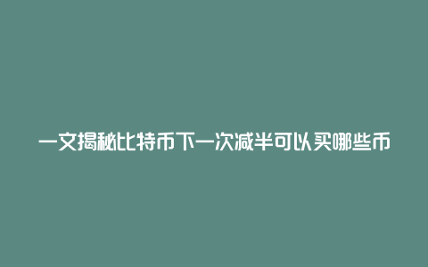 一文揭秘比特币下一次减半可以买哪些币