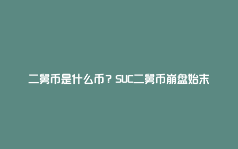 二舅币是什么币？SUC二舅币崩盘始末