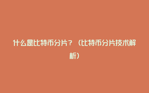 什么是比特币分片？（比特币分片技术解析）