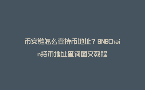 币安链怎么查持币地址？BNBChain持币地址查询图文教程