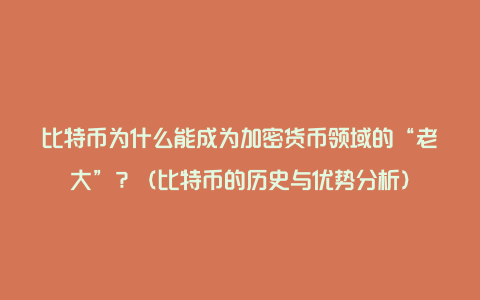 比特币为什么能成为加密货币领域的“老大”？（比特币的历史与优势分析）