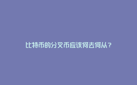 比特币的分叉币应该何去何从？