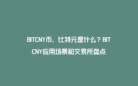 BITCNY币，比特元是什么？BITCNY应用场景和交易所盘点