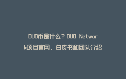 DUO币是什么？DUO Network项目官网、白皮书和团队介绍