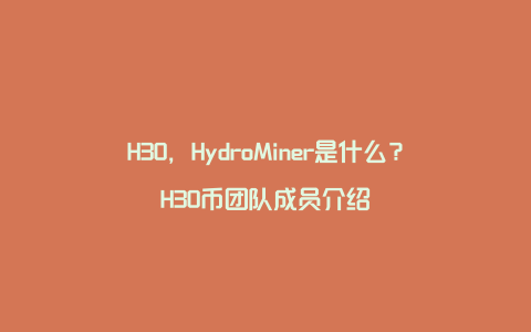 H3O，HydroMiner是什么？H3O币团队成员介绍