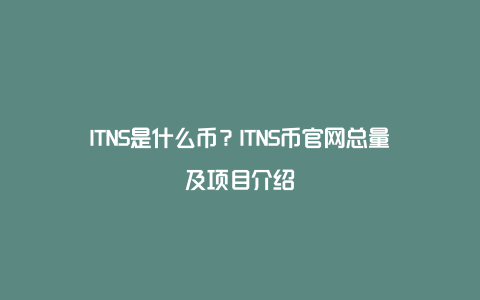 ITNS是什么币？ITNS币官网总量及项目介绍