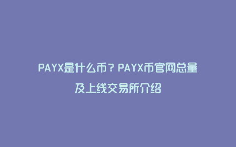 PAYX是什么币？PAYX币官网总量及上线交易所介绍