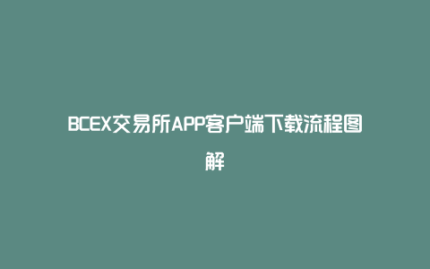 BCEX交易所APP客户端下载流程图解