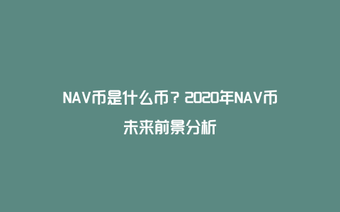 NAV币是什么币？2020年NAV币未来前景分析